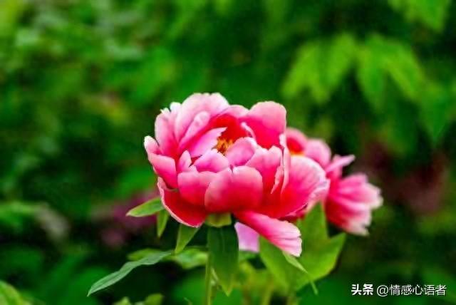 男孩叫女孩傻瓜有什么意思（关系再好的异性 也别在微信上这样称呼对方）