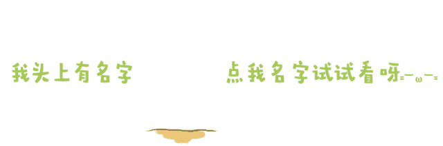 花胶玉米鸡粥 花胶鸡玉米汤的做法大全 花胶玉米鸡粥 花胶鸡玉米汤的做法大全