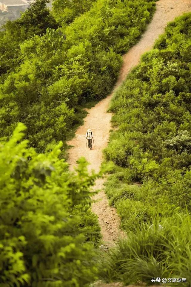 全部免费！解锁长沙10条山林徒步路线
