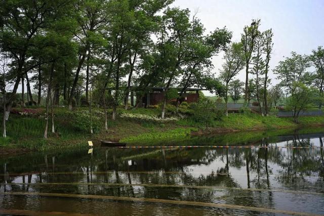 富阳这里太美了！不少人前来骑行、踏青野餐