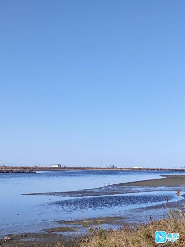 在冬日的潍坊海边，邂逅绝美画卷～