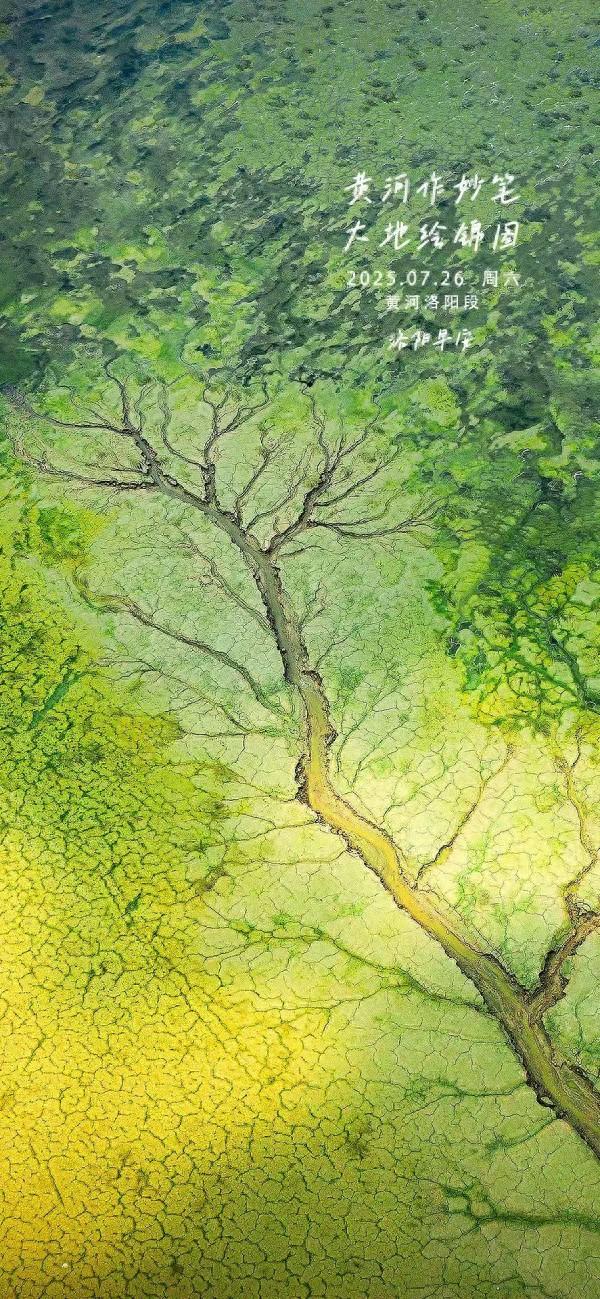 洛阳·早安|黄河作妙笔 大地绘锦图