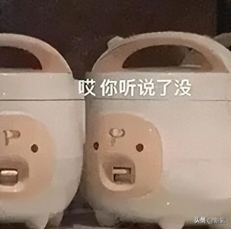 美女消消乐破解版下载（我们不得不重视有些女装致癌染料超标了20多倍）