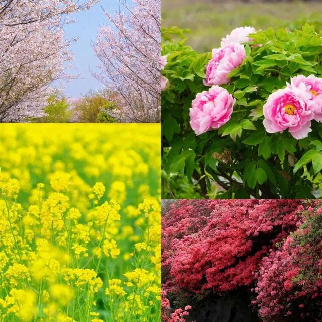 看不完，根本看不完！