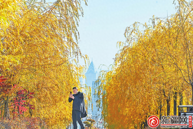乌鲁木齐市新开放公园竞相“比美”