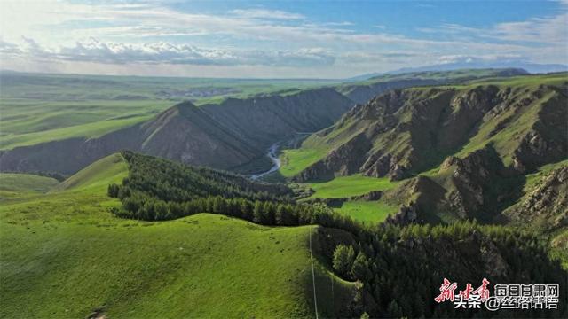 【镜观陇原】祁连山下铺金色 山丹马场处处景