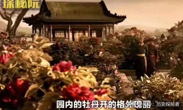 神秘访客手机版攻略（旅游攻略）