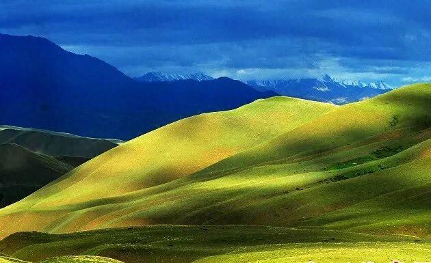 京津冀与和田直播连线共探书香文旅融合新路径