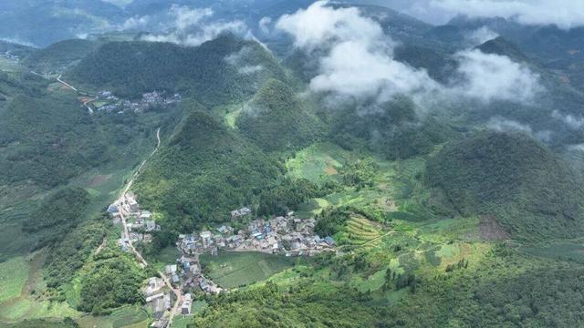 罗平康养旅居“出圈” 超高性价比获游客盛赞