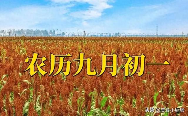 不是迷信！明日九月初一，记得：1要吃，2不去，3不做，平安入冬