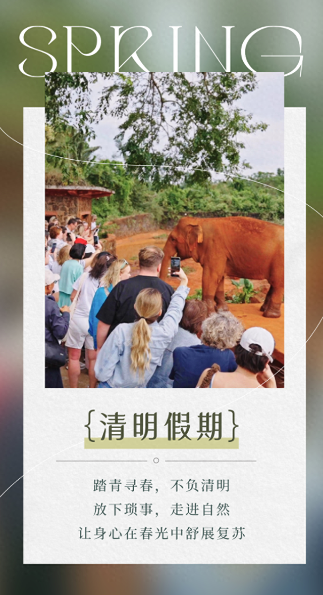 清明假期首日，海口亲子游火热登场！