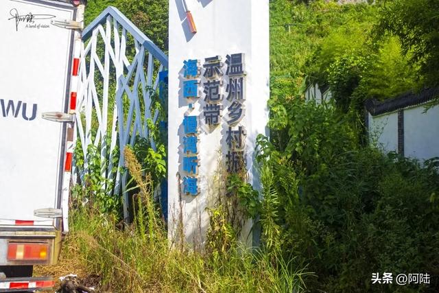 西湾一沙村的海边湿地绿意葱茏十分养眼，长堤之外就是滩涂和大海