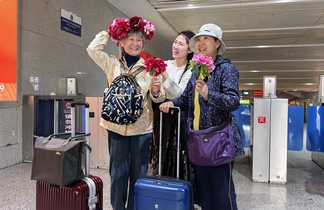 80辆牡丹主题公交出圈！菏泽最美的风景不仅是牡丹，更是这座城市的诚意与温度