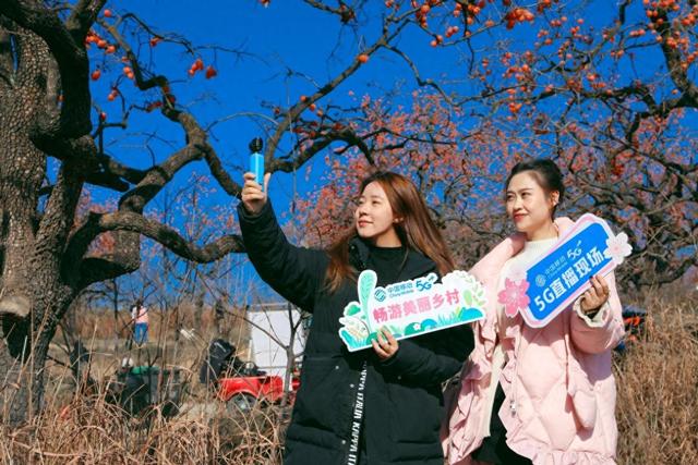 彬州红柿“火爆”出圈游客激增陕西移动5G守护冬日暖意