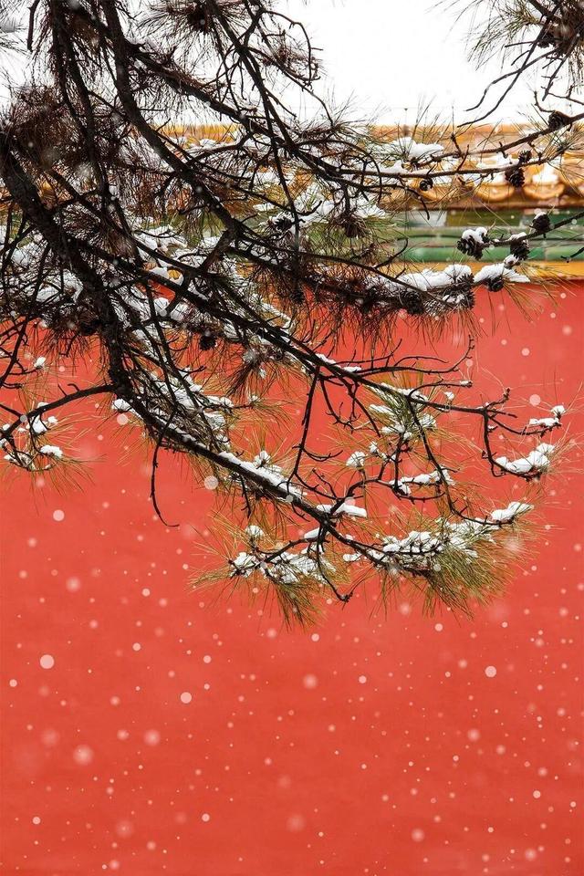 ❄❄❄瑞雪至 故宫雪景“大片”又上新了