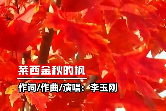 “一曲枫叶谣 引燃红枫潮”莱西夏格庄的文旅破圈密码