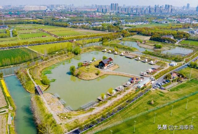“乡”遇奉贤·南桥镇篇丨一站式乐园解锁新玩法，快来探秘当代“桃花源”吧！