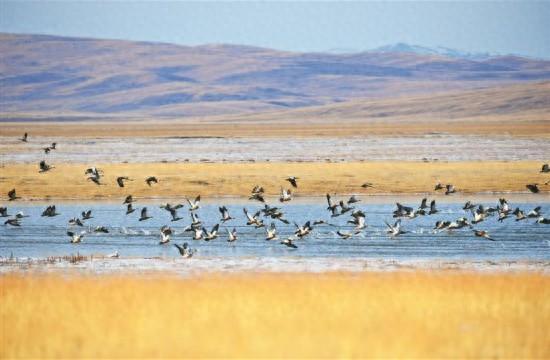 “源头守护”与“绿色变现”的交响