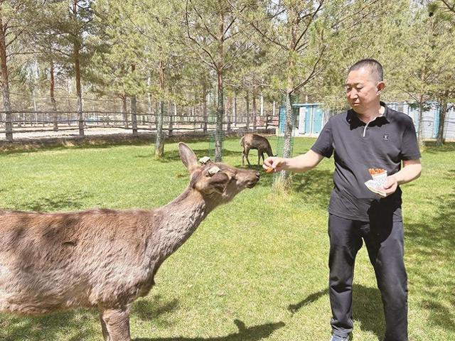 灵武市：营地焕新 文旅休闲再添新场景