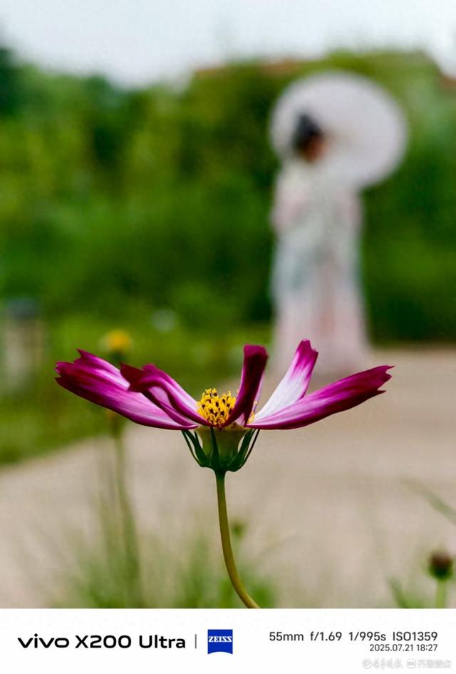 走进百花洲，我在记录