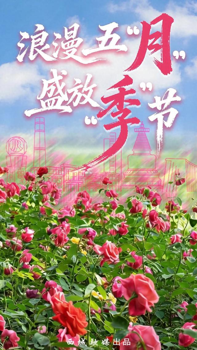 五月限定！西城花事正盛，赴一场初夏浪漫之约