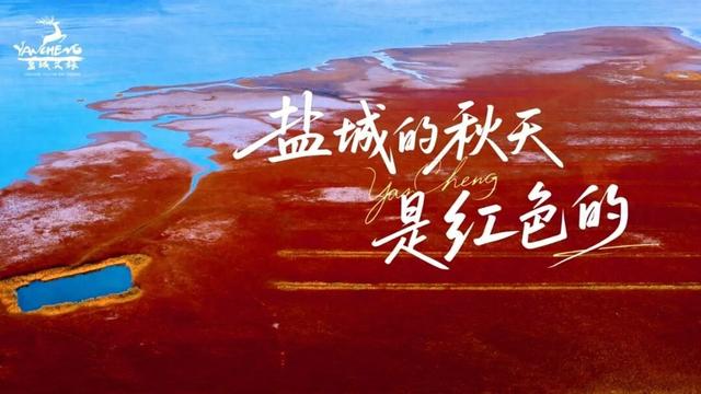一路秋色一路景，走起~