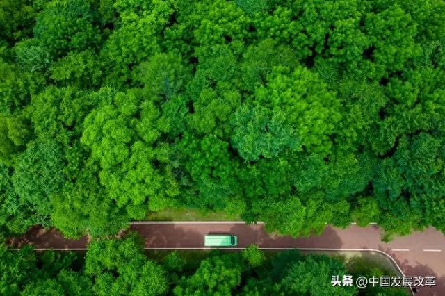 62.8万吨ODS淘汰之后