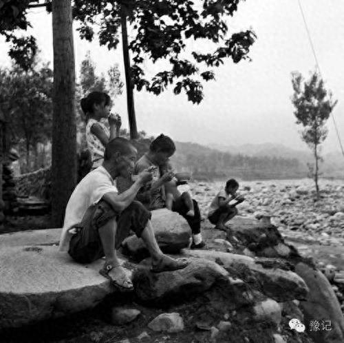 老王坡实现蝶变的密码是什么？