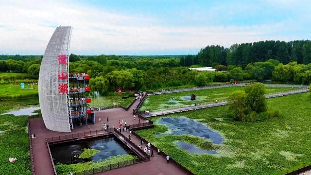 滕州微山湖红荷湿地:乐享双十一，“荷”你游湿地
