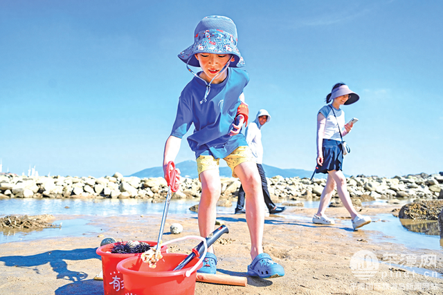 到平潭赶海捡海鲜，更捡生活之趣