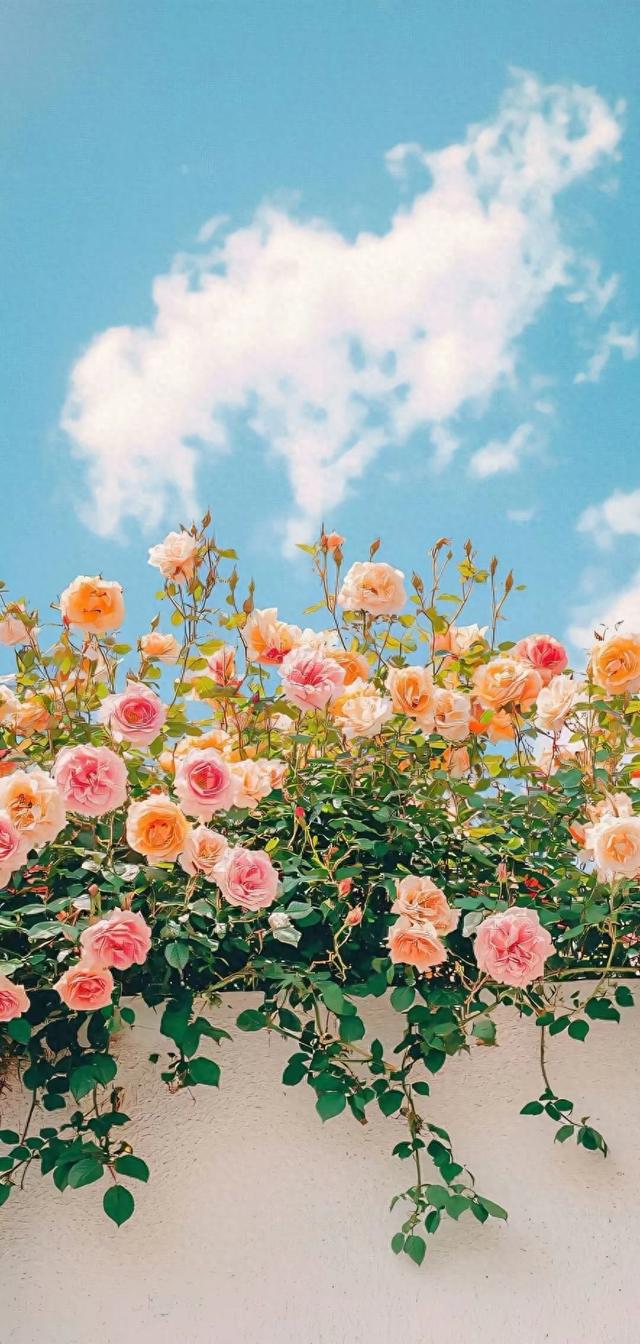 #我们一起看最美的自然风景