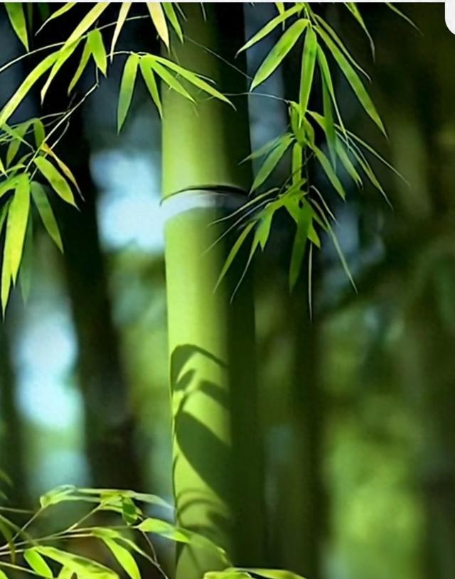 改变自己,改变自己的方法（叫醒自己）