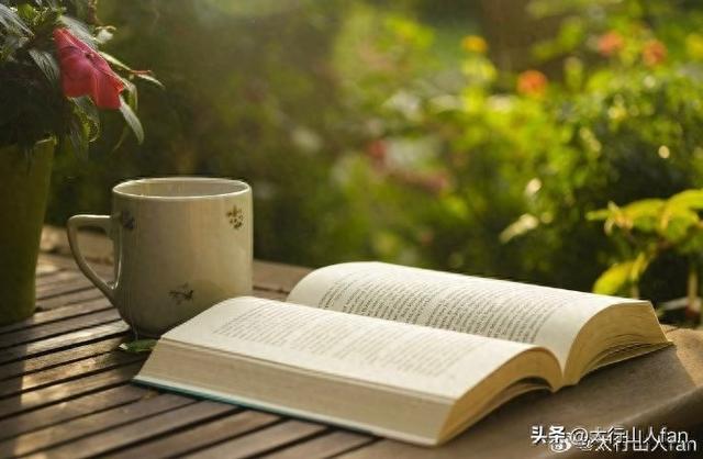 2025年12月23日 第2页