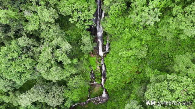 揭开龙陵古城山神秘面纱：层峦间藏着的世界级自然奇观