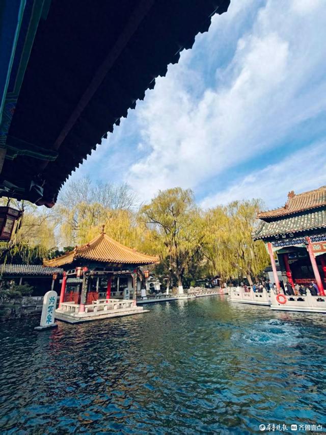 冬日趵突泉，寒风中美景依然