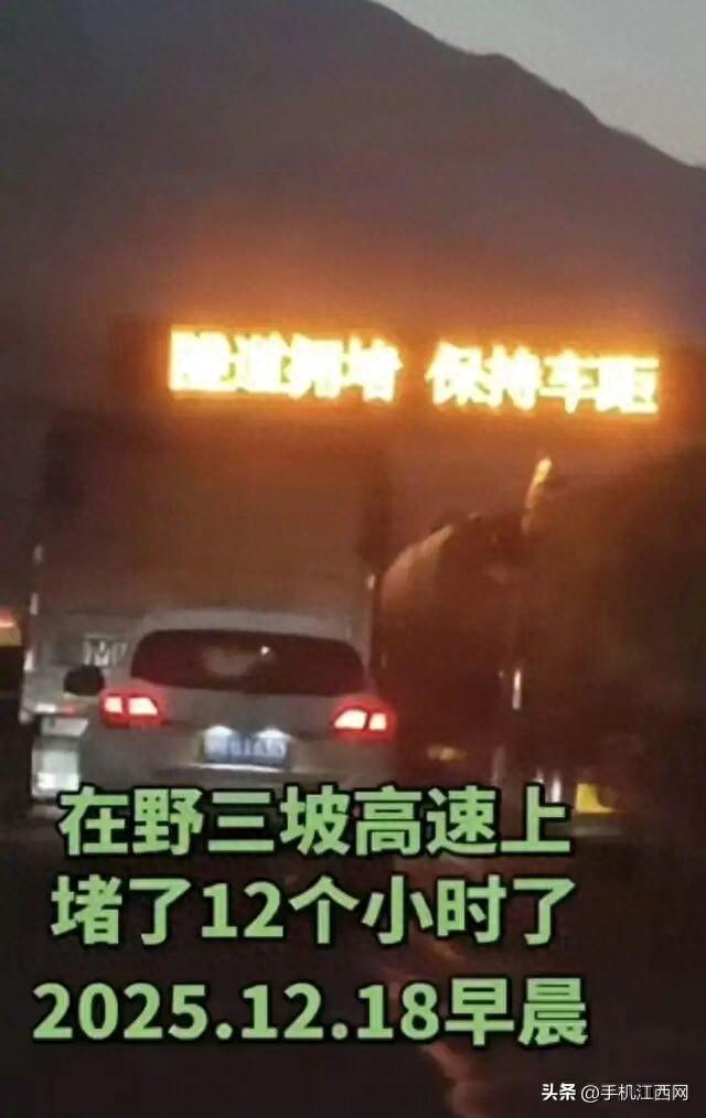 河北一网友转发事故视频，交警致电要求删除，挂电话前爆粗口？保定高速交警：相关部门正处置