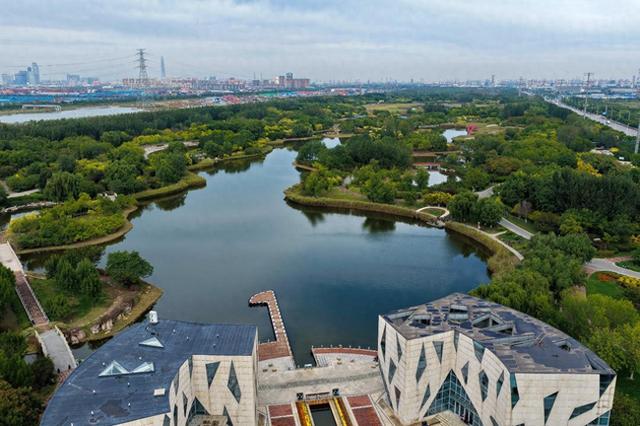 秋高气爽赏滨城丨滨城秋色渐浓 临港湿地绘就生态画卷