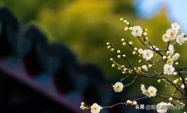 当年计划生育是谁提出来的?你万万想不到