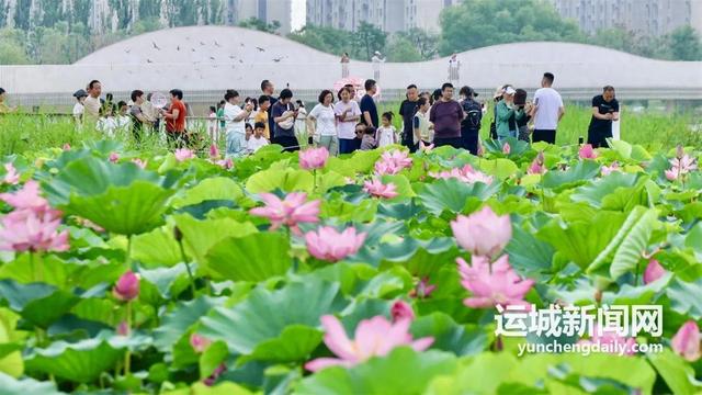 运城｜城市公园渐成市民精神滋养地