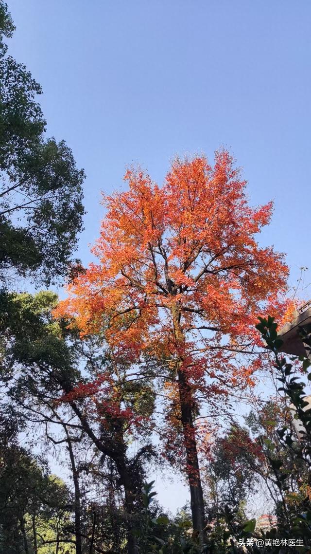 下次，再来走走