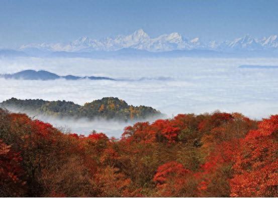 乐山秋日限定最后一波：红叶漫山处，林海踏秋时