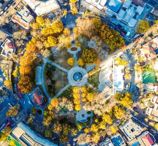 初冬的这座公园——这么静 那么美