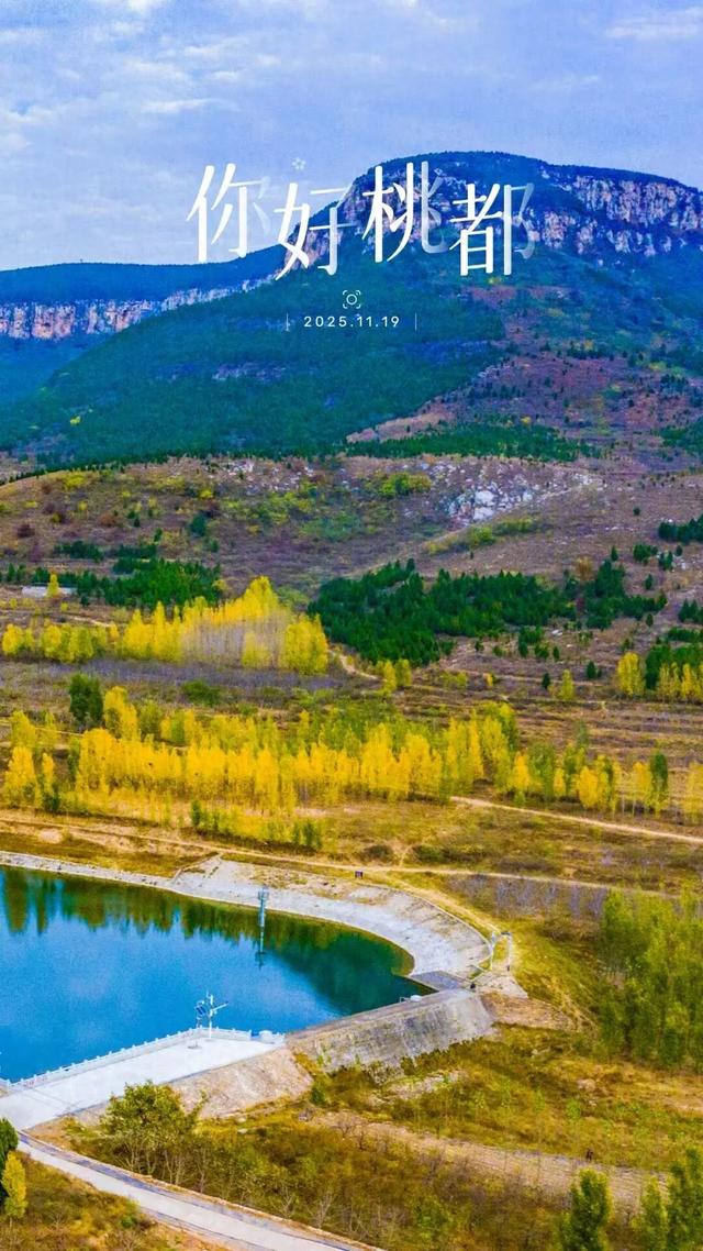 你好，桃都！『2025.11.19』