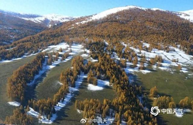 开始下雪了！？杭州人做好准备