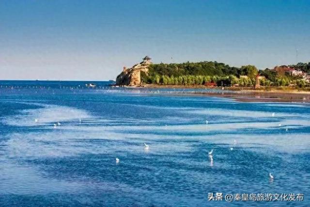 秦皇岛鸽子窝景区运营时间调整最新消息！