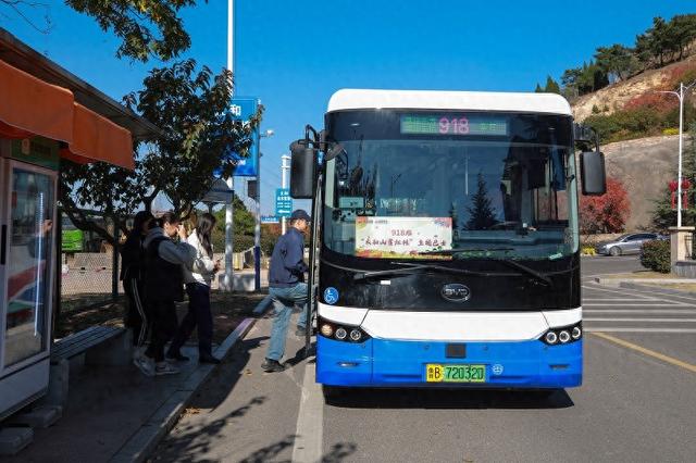 方便市民赏秋 城阳巴士打造“太和山赏红枫”主题巴士