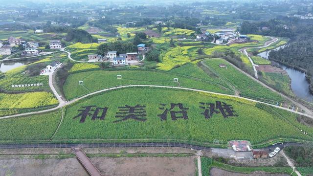 [四川 自贡市沿滩区]