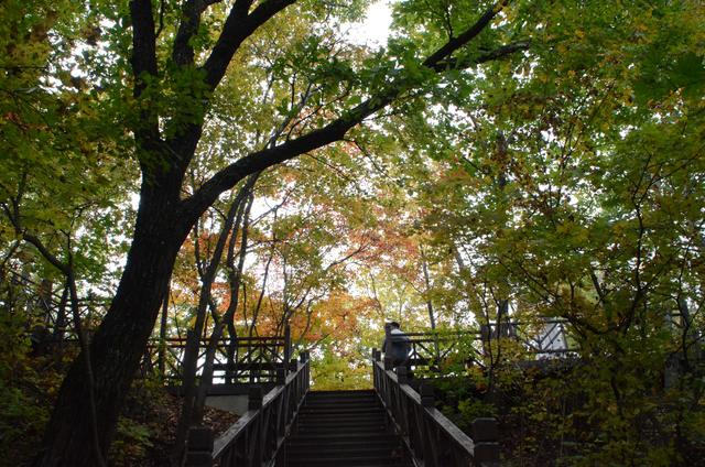 邂逅身边的绝美秋色