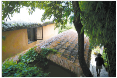 乡村旅居看昆明之三 古莲村 虚室有余闲