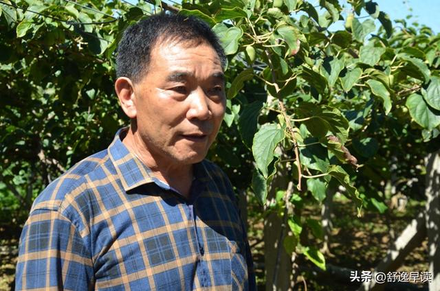 奇异的圣地攻略水果（孙全铭和他的玲珑山美味奇异莓基地）